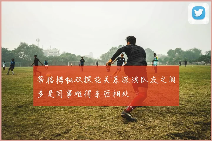 蒂格揭秘双探花关系深浅队友之间多是同事难得亲密相处