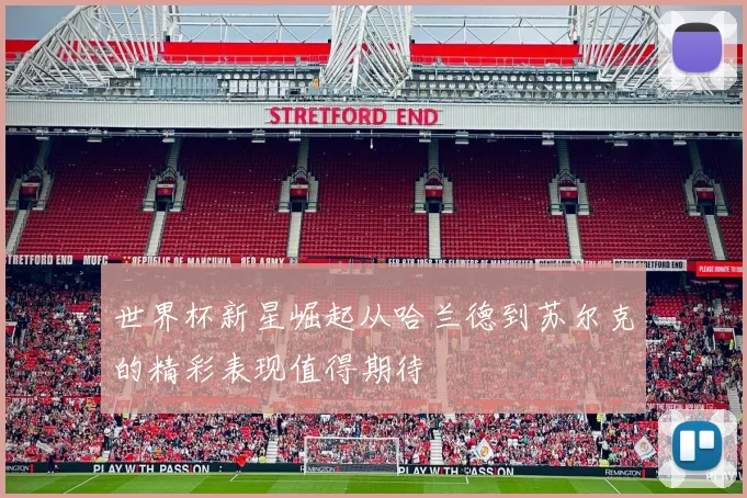 世界杯新星崛起从哈兰德到苏尔克的精彩表现值得期待